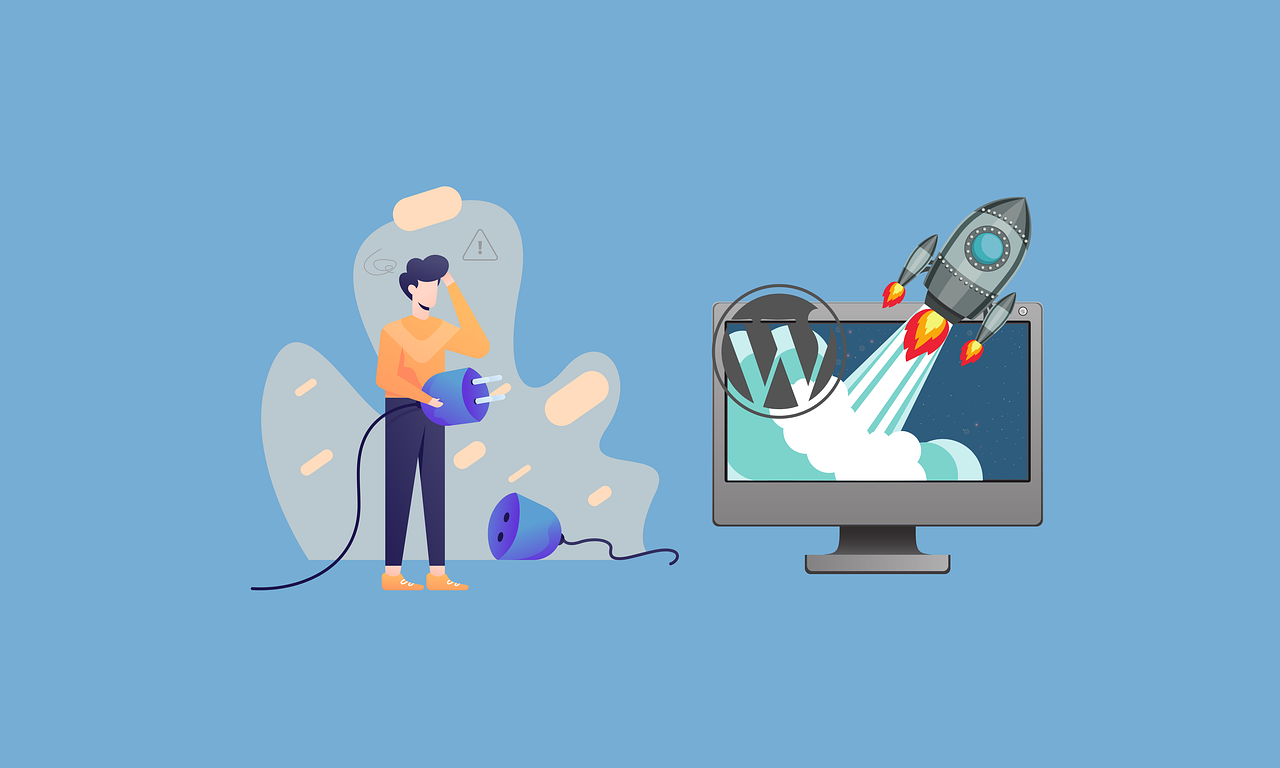 Plugins WordPress optimisation